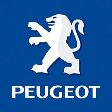Catalogo completo Peugeot Usate